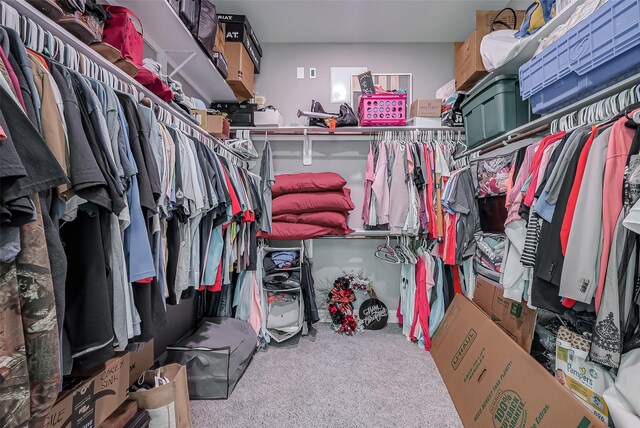 walk in closet featuring light carpet