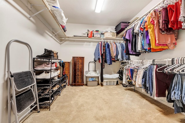 spacious closet with light carpet