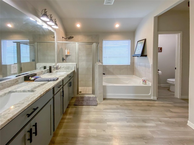 bathroom with toilet, double vanity, a wealth of natural light, a stall shower, and a sink