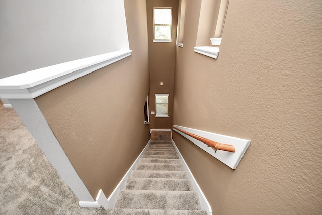 stairs featuring carpet flooring