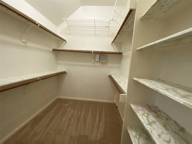 walk in closet with dark carpet