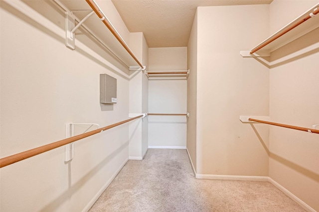 spacious closet with light colored carpet