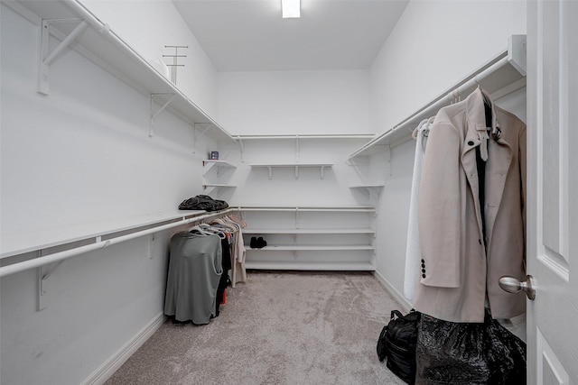 spacious closet with light colored carpet