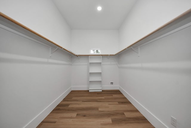 walk in closet with wood-type flooring