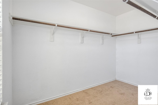 spacious closet with carpet