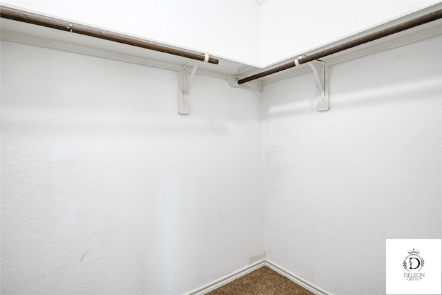 spacious closet featuring carpet