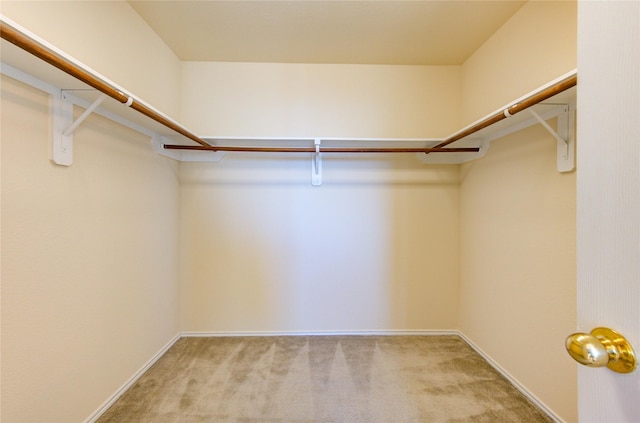 spacious closet with light carpet