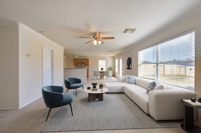 living room featuring ornamental molding, carpet, and ceiling fan