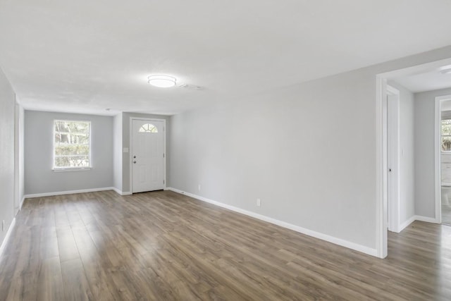 entryway with wood-type flooring