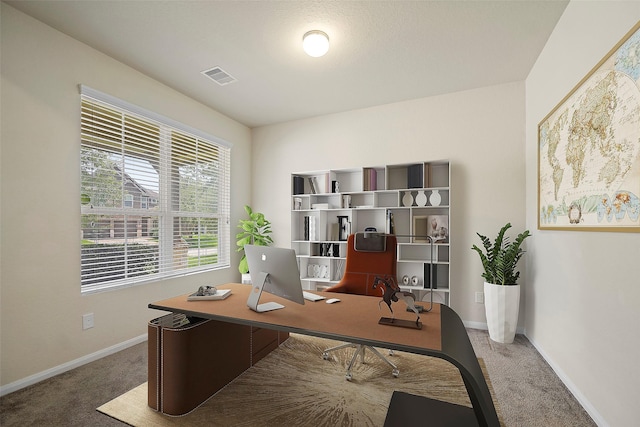 office area featuring carpet flooring