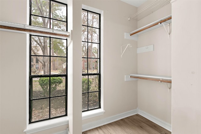 spacious closet featuring light hardwood / wood-style floors