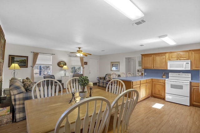 dining area with ceiling fan and light wood-type flooring