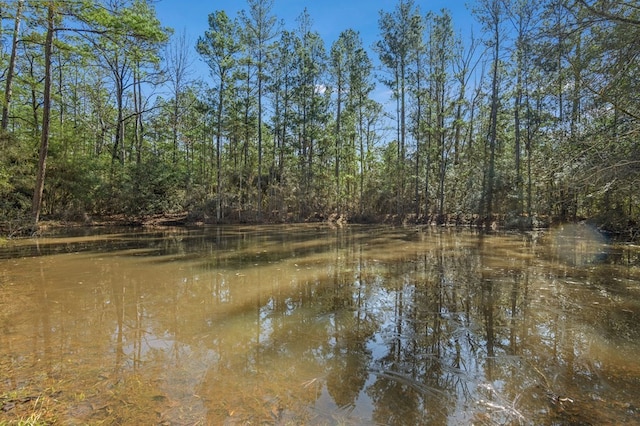 view of water feature