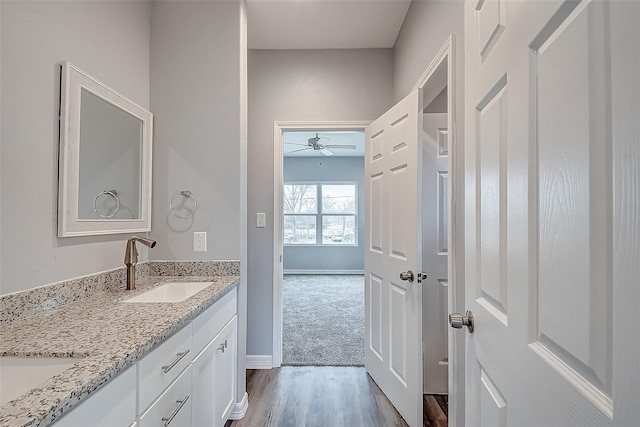 bathroom with hardwood / wood-style flooring and vanity