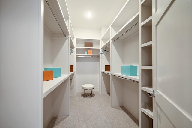 5215 Texas St, Houston, TX 77011 - spacious closet with light carpet