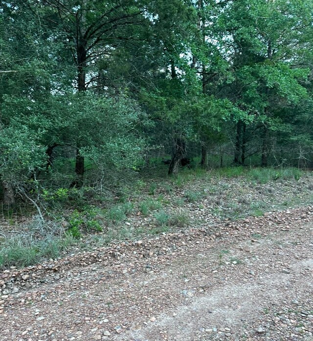 000000 Rose, Willis, TX 77388 - photo 1
