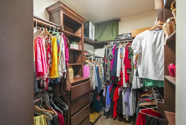 walk in closet with light colored carpet