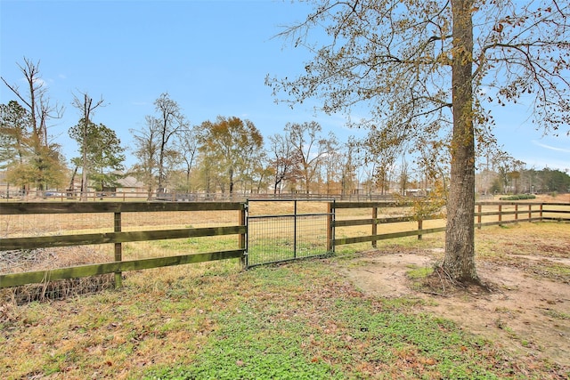 view of yard with a rural view