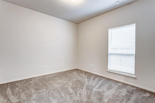 spare room featuring carpet flooring