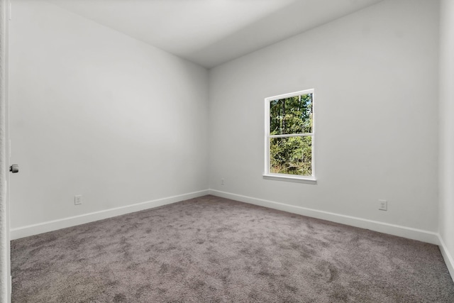 spare room with carpet flooring