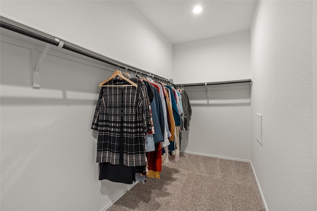 walk in closet featuring carpet flooring