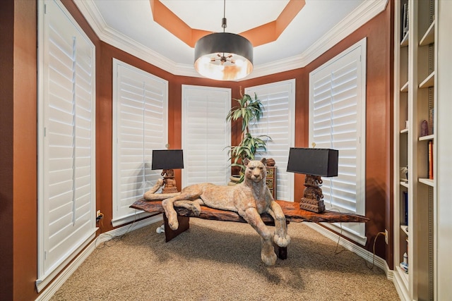 interior space featuring a tray ceiling, ornamental molding, and carpet flooring