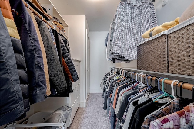 spacious closet featuring light carpet