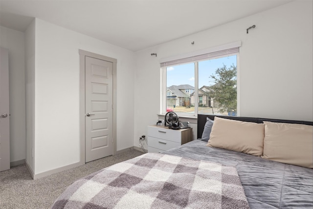 bedroom with carpet floors