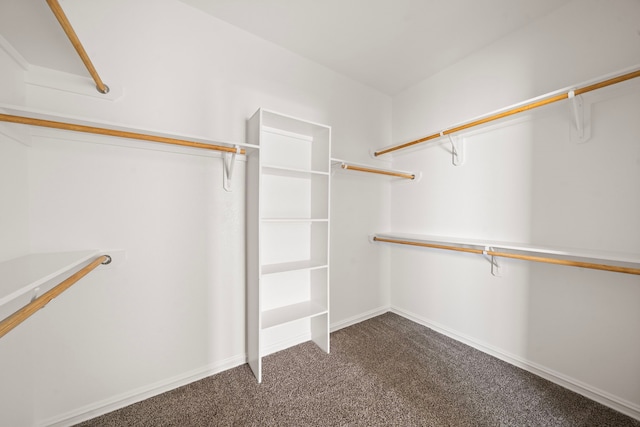 spacious closet featuring dark colored carpet