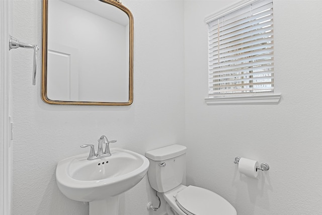 bathroom featuring sink and toilet