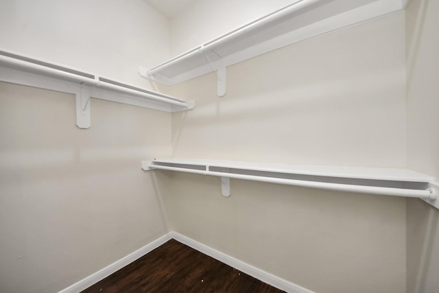 spacious closet with hardwood / wood-style flooring