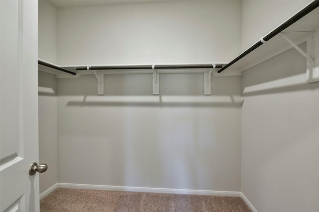 walk in closet with carpet