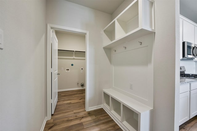 mudroom featuring dark hardwood / wood-style flooring