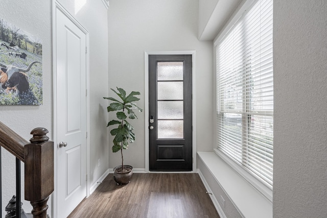 foyer entrance with dark hardwood / wood-style flooring and a healthy amount of sunlight