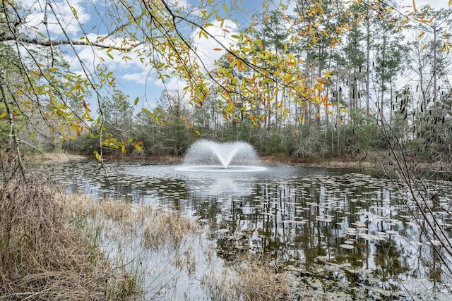 water view