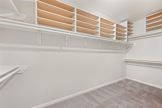 spacious closet with carpet floors