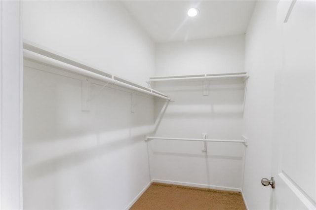 walk in closet with carpet