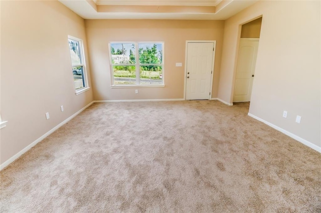 empty room with light colored carpet and a tray ceiling