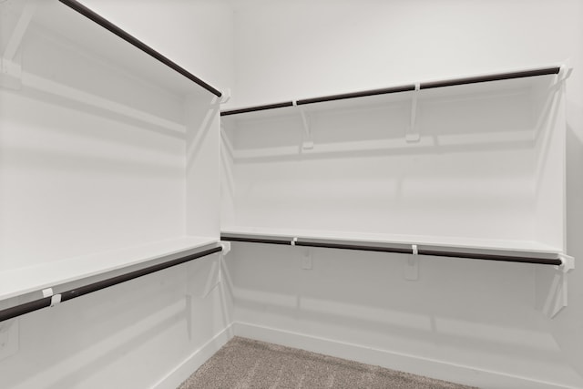 spacious closet with light carpet