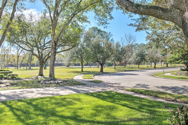 view of community with a lawn