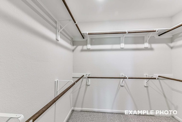 spacious closet featuring carpet floors