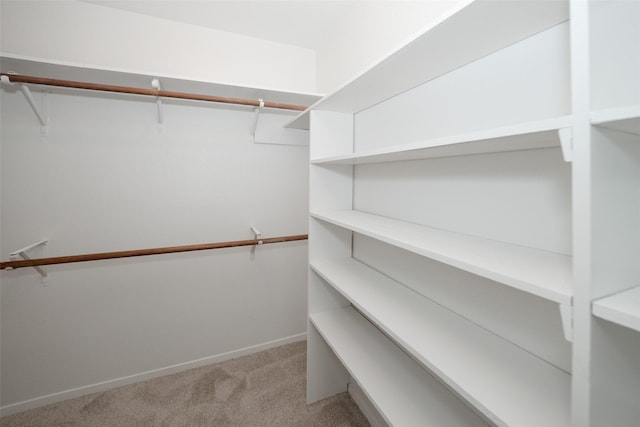 walk in closet with light carpet