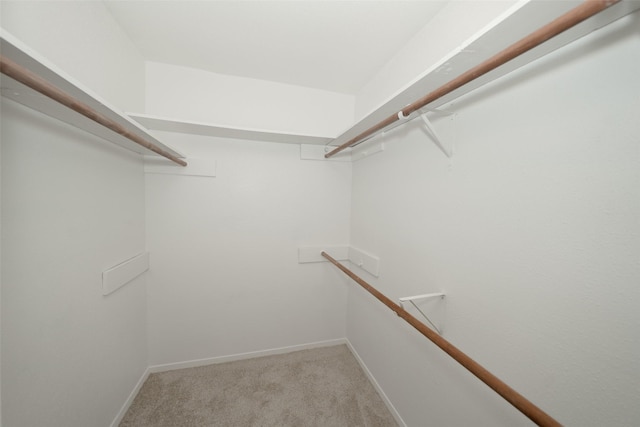 walk in closet featuring light colored carpet