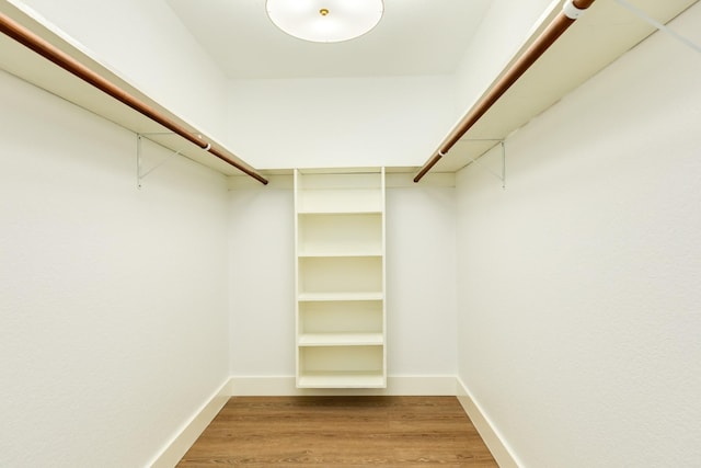 spacious closet featuring hardwood / wood-style flooring