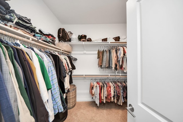 spacious closet with light carpet