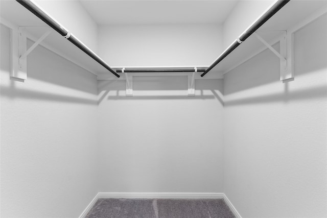 spacious closet featuring carpet flooring