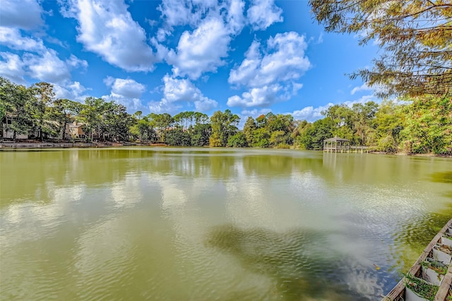 property view of water