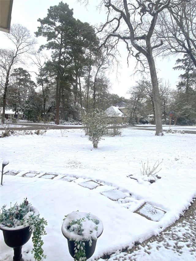 view of yard layered in snow