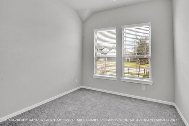 spare room with carpet floors