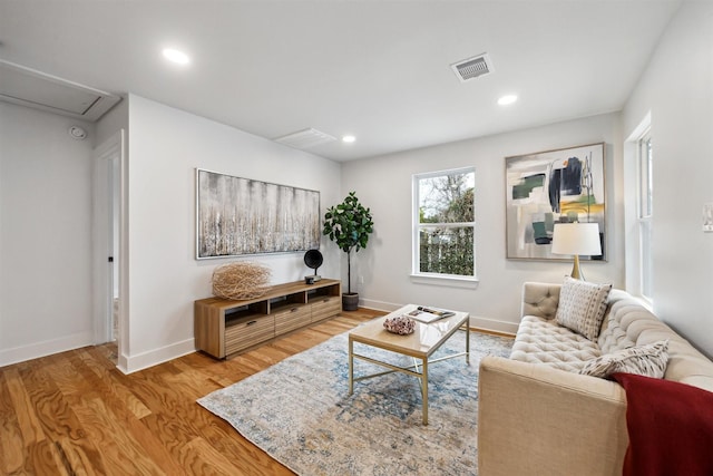 living room with wood-type flooring